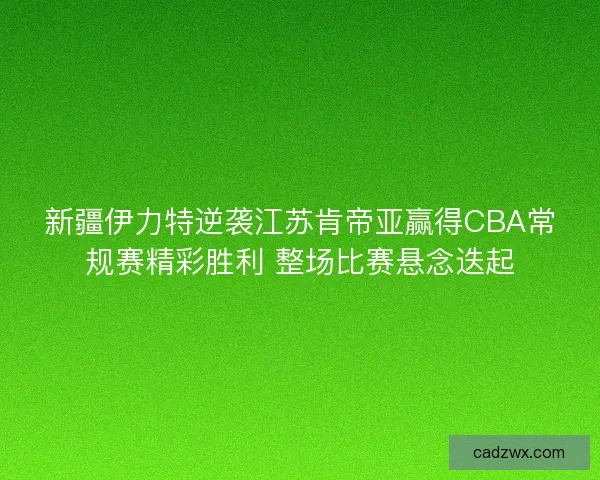 新疆伊力特逆袭江苏肯帝亚赢得CBA常规赛精彩胜利 整场比赛悬念迭起