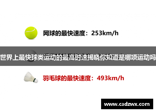 世界上最快球类运动的最高时速揭晓你知道是哪项运动吗