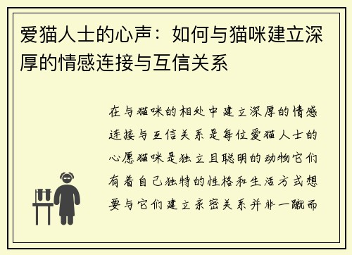 爱猫人士的心声：如何与猫咪建立深厚的情感连接与互信关系